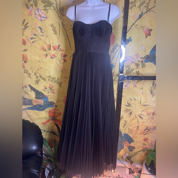 ANTHROPOLOGIE
Hutch Amara Corset Pleated Tulle Fit & Flare Midi Dress - Picture 6 of 9